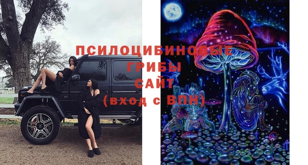 ешки Кинешма