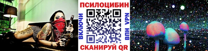 Галлюциногенные грибы MAGIC MUSHROOMS  как найти закладки  Ессентуки 