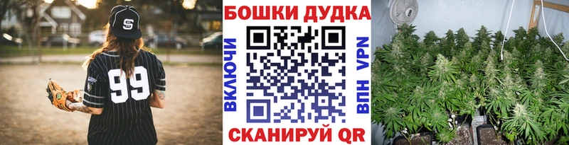 ссылка на мегу ССЫЛКА  Ессентуки  Бошки Шишки SATIVA & INDICA  купить закладку 